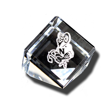 Bill the Goat Acrylic Paperweight