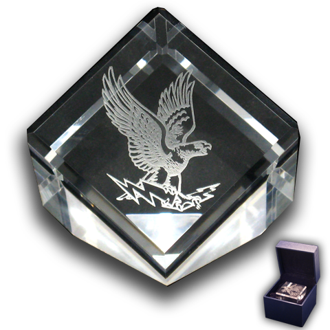 Air Force Academy Flying Falcon logo Paperweight