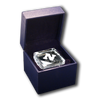 N-Star Logo Paperweight