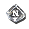 N-Star Logo Acrylic Paperweight